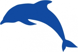 veloursmotief applicatie strijkapplicatie dolfijn